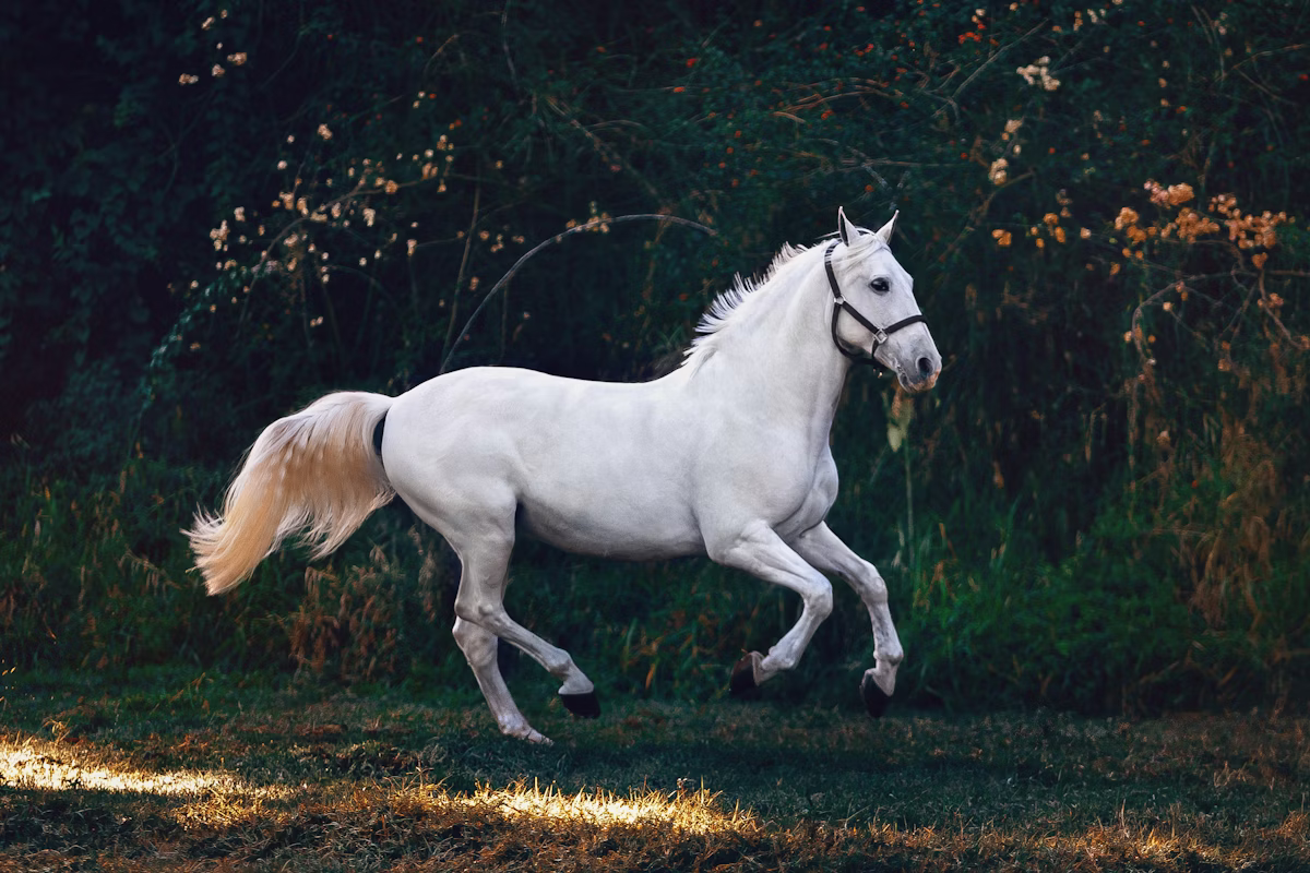 woman vet helping horse in stable